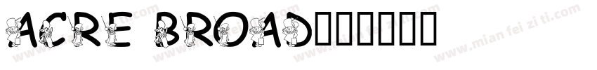 acre broad字体转换